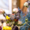 Butterfly decoration on wall